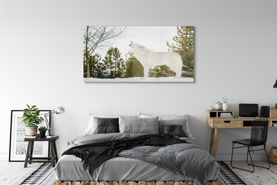 Obraz akrylowy Wilk zima las