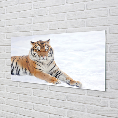 Obraz akrylowy Tygrys zima śnieg