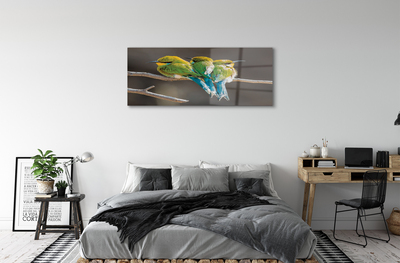 Obraz akrylowy Ptaki na gałęzi