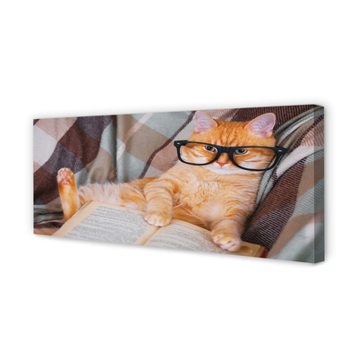 Obraz na płótnie Czytający kot