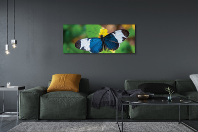 Obraz na płótnie Kolorowy motyl na kwiatach