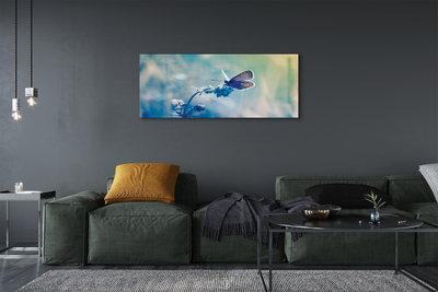 Obraz na płótnie Kolorowy motyl