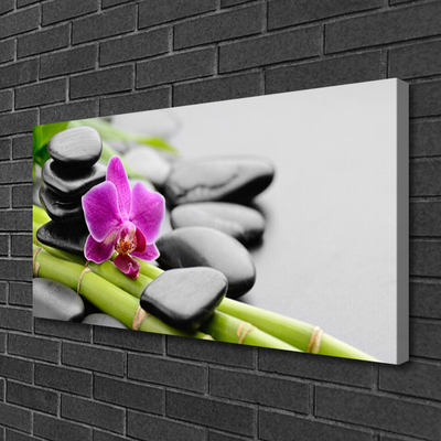 Obraz Canvas bambus Kwiat Kamienie Sztuka