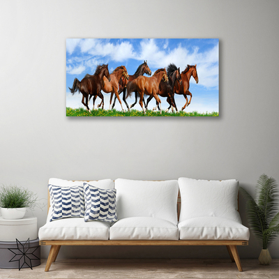 Obraz Canvas Konie w Galopie na Pastwisku