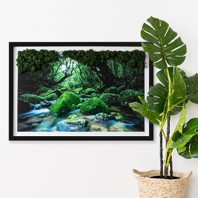 Obraz z mchu Rzeka w środku lasu