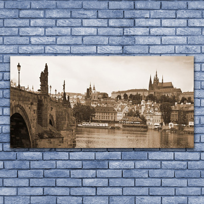 Obraz Akrylowy Praga Most Krajobraz