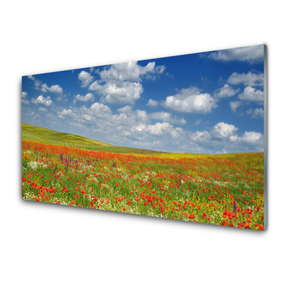 Obraz Akrylowy Łąka Kwiaty Krajobraz