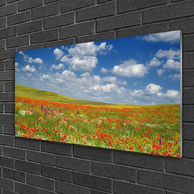 Obraz Akrylowy Łąka Kwiaty Krajobraz