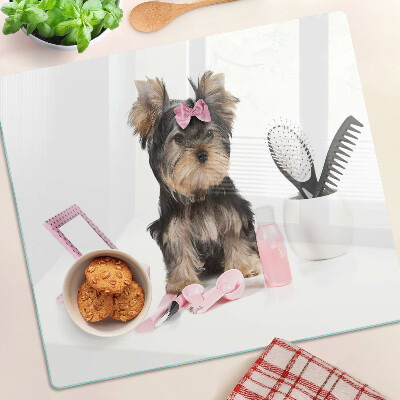 Szklana deska kuchenna Yorkshire Terrier z akcesoriami groomerskimi