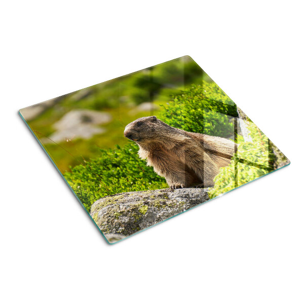 Deska kuchenna szklana Marmot na tle zielonej trawy