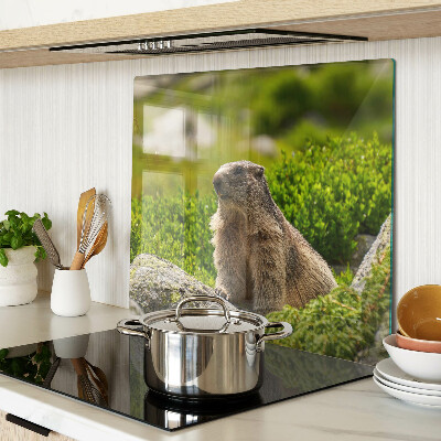 Deska kuchenna szklana Marmot na tle zielonej trawy