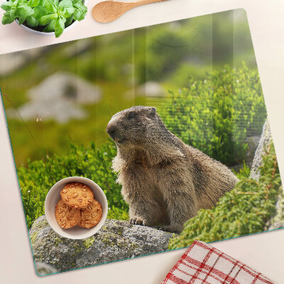 Deska kuchenna szklana Marmot na tle zielonej trawy