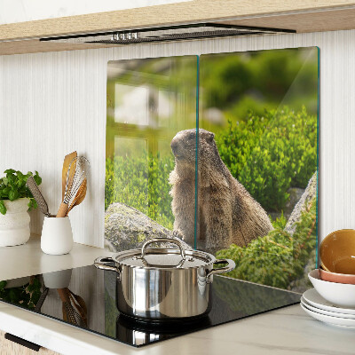 Deska kuchenna szklana Marmot na tle zielonej trawy