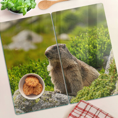 Deska kuchenna szklana Marmot na tle zielonej trawy