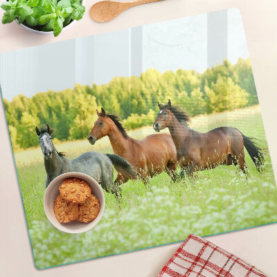 Deska kuchenna szklana Spotkanie koni na polu