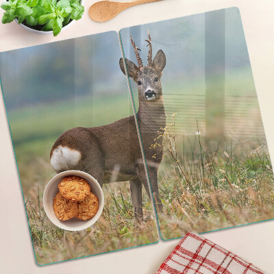 Szklana deska do krojenia Sarna w naturalnym środowisku