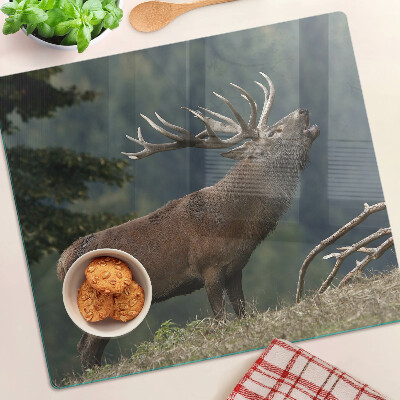 Szklana deska kuchenna Jeleń w naturalnym środowisku