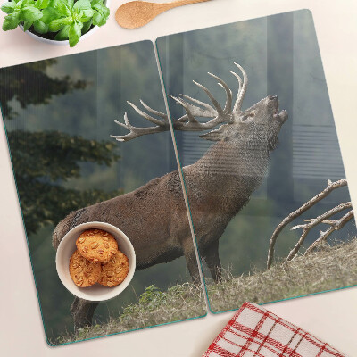 Szklana deska kuchenna Jeleń w naturalnym środowisku