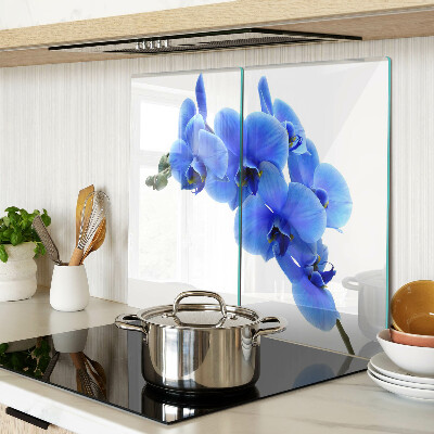 Szklana deska kuchenna Niebieskie orchidee