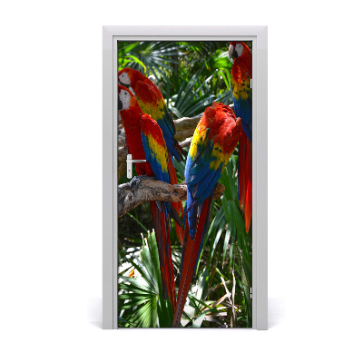 Naklejka samoprzylepna na drzwi Papugi Ary