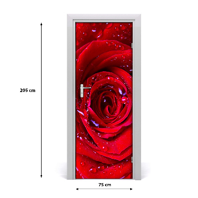 Naklejka samoprzylepna na drzwi Czerwona róża