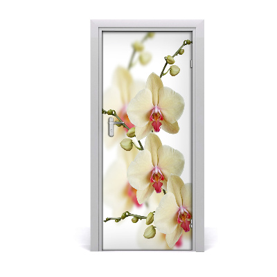 Naklejka samoprzylepna na drzwi Orchidea