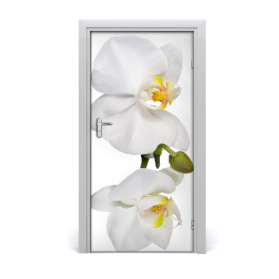 Naklejka samoprzylepna na drzwi Biała orchidea