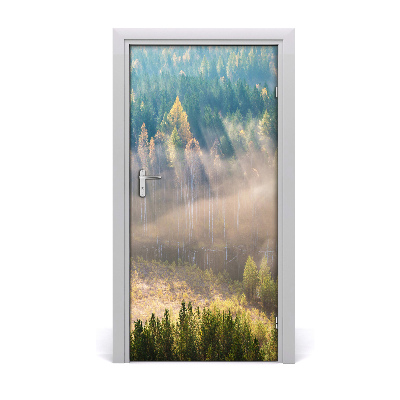 Naklejka na drzwi samoprzylepna Mgła nad lasem