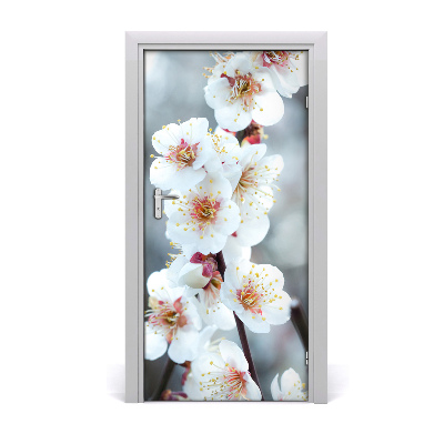 Naklejka samoprzylepna na drzwi Kwiaty wiśni