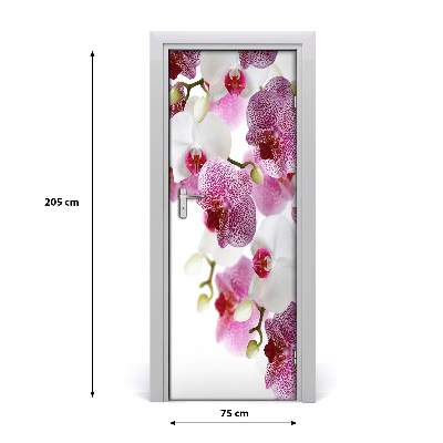 Nalepka Naklejka fototapeta na drzwi Orchidea