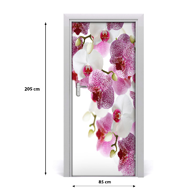 Nalepka Naklejka fototapeta na drzwi Orchidea