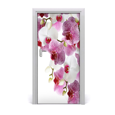 Nalepka Naklejka fototapeta na drzwi Orchidea