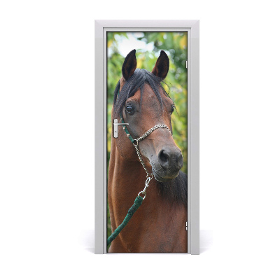 Naklejka samoprzylepna na drzwi Portret konia