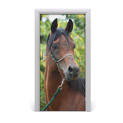 Naklejka samoprzylepna na drzwi Portret konia