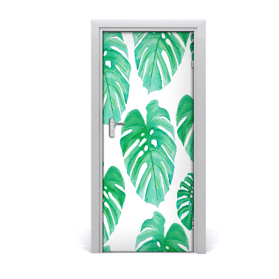 Okleina samoprzylepna fototapety na drzwi Monstera