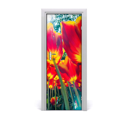 Nalepka Naklejka fototapeta na drzwi tulipany
