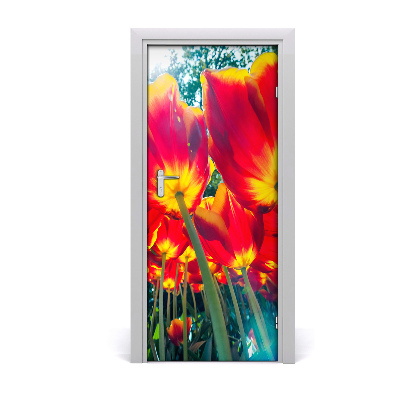 Nalepka Naklejka fototapeta na drzwi tulipany