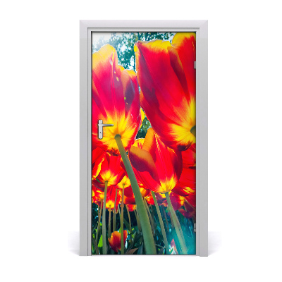 Nalepka Naklejka fototapeta na drzwi tulipany