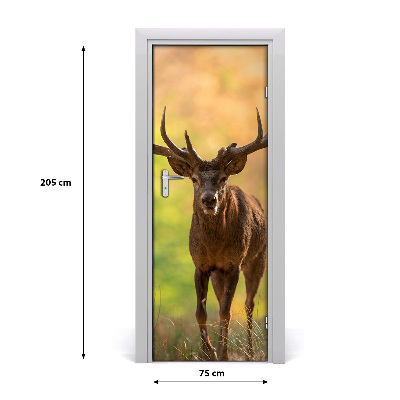 Fototapeta samoprzylepna na drzwi Jeleń w lesie