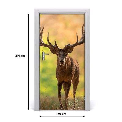 Fototapeta samoprzylepna na drzwi Jeleń w lesie