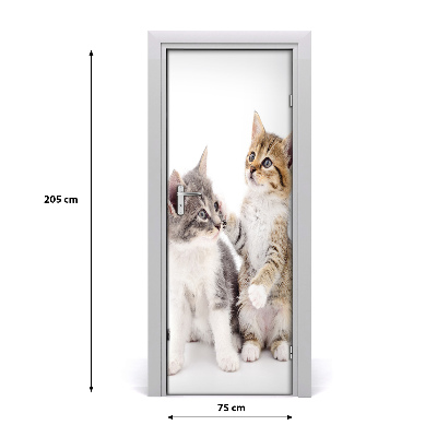 Naklejka samoprzylepna na drzwi Dwa małe koty