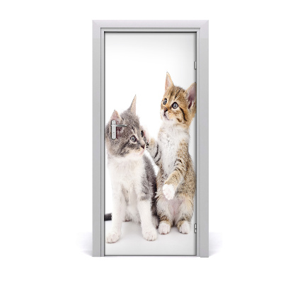 Naklejka samoprzylepna na drzwi Dwa małe koty