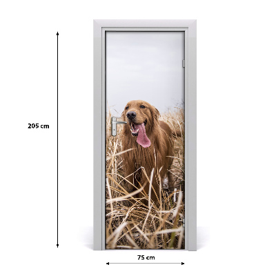 Naklejka samoprzylepna na drzwi Golden retriever