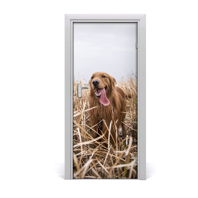 Naklejka samoprzylepna na drzwi Golden retriever