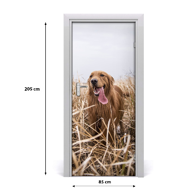 Naklejka samoprzylepna na drzwi Golden retriever