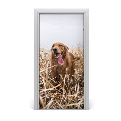 Naklejka samoprzylepna na drzwi Golden retriever