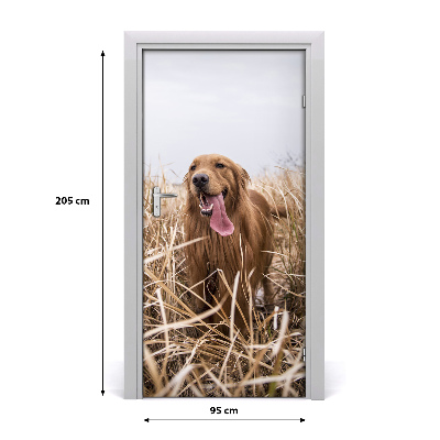 Naklejka samoprzylepna na drzwi Golden retriever