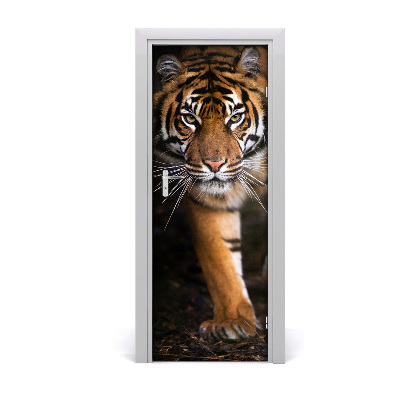 Fototapeta samoprzylepna na drzwi Tygrys