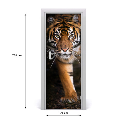 Fototapeta samoprzylepna na drzwi Tygrys