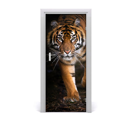 Fototapeta samoprzylepna na drzwi Tygrys